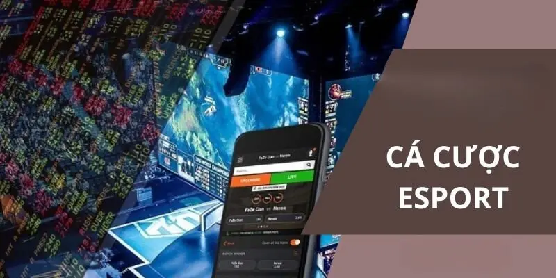 Cách chơi cá cược Esports chi tiết cho người mới “vào nghề”