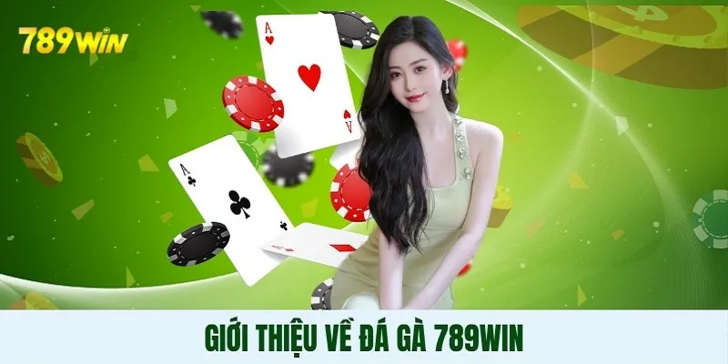 Đá gà 789WIN là sân chơi phù hợp cho mọi khách hàng