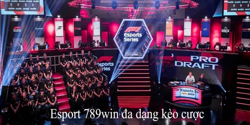 Vô vàn các kèo cược giúp bạn hào hứng đến Esport 789WIN