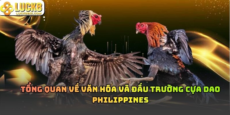Đá gà Cựa Dao Philippines