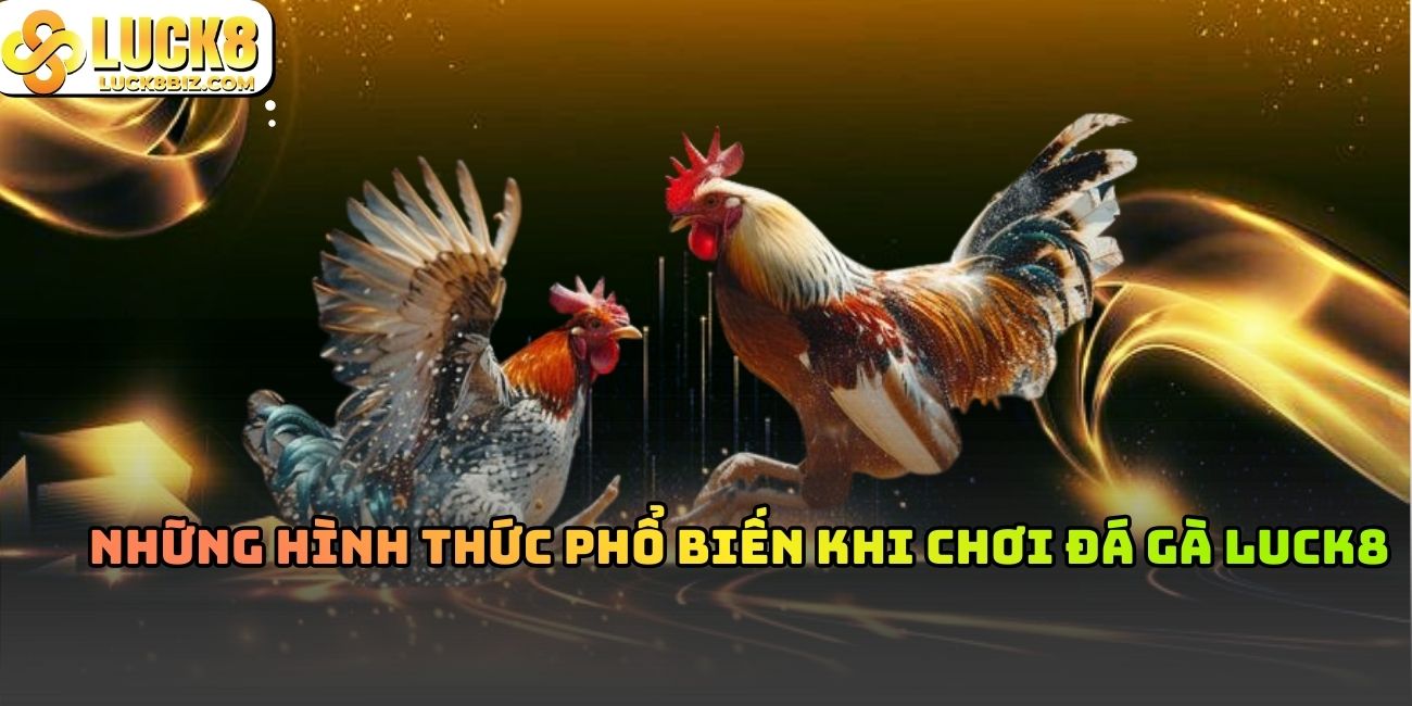 Những hình thức phổ biến khi chơi đá gà Luck8