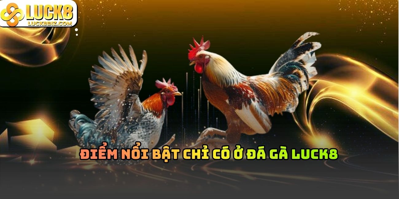 Điểm nổi bật chỉ có ở đá gà Luck8