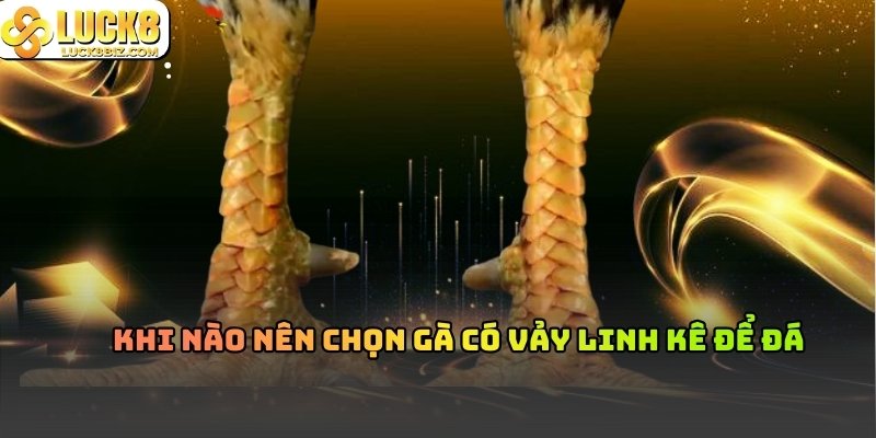 Kinh nghiệm đánh giá gà có vảy Khai Vương
