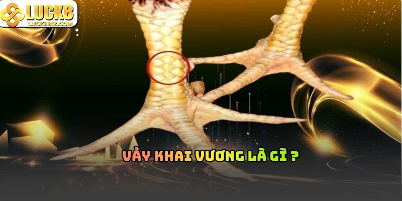 Đôi nét về Vảy Gà Khai Vương