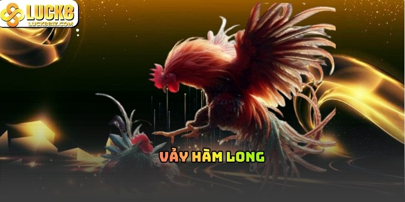 Xem tướng gà vảy Hàng Ngũ và vảy Hàm Long